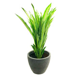 Artificial Dracena Tree