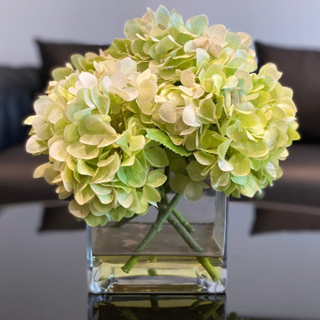 Hydrangea in Glass Vase Large