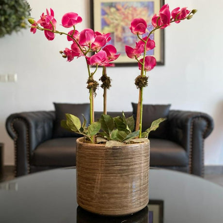 Pink Orchid Arrangement