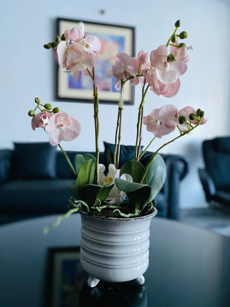 Pink Orchid Arrangement