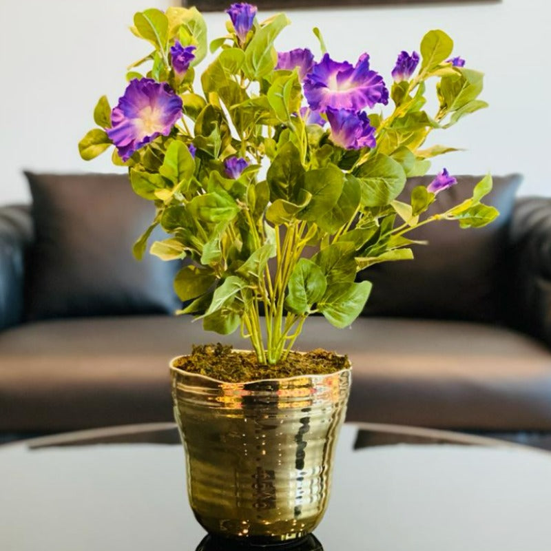 Petunia in Gold Ceramic Pot