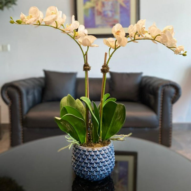 White Orchid Arrangement