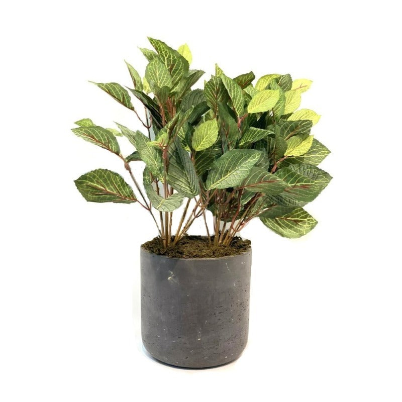 Faux Plant in Cement Pot