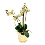 Faux Orchid Arrangement in Gold Pot