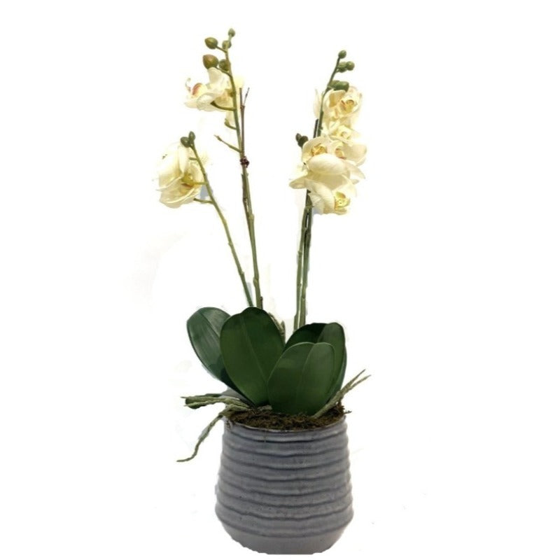 Faux Orchid Arrangement in Charcoal Vase