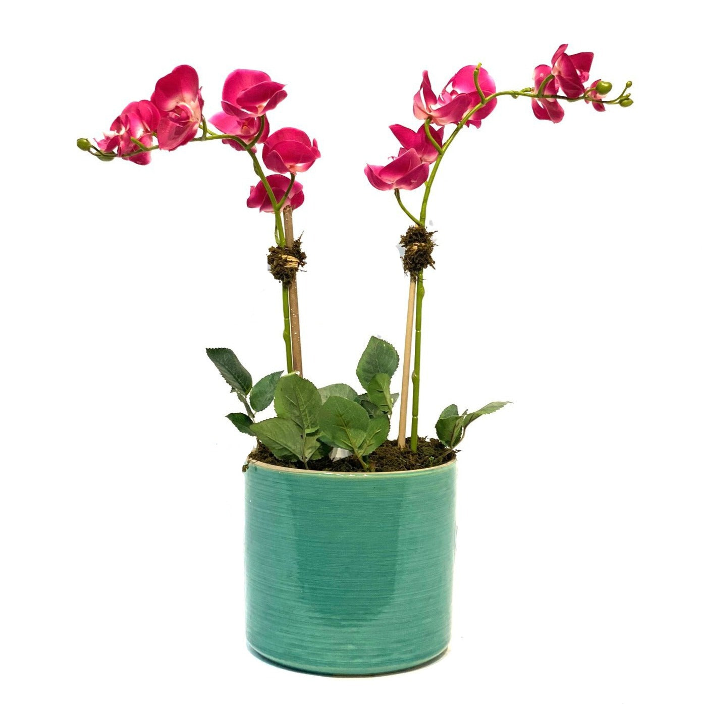 Pink Orchid Arrangement in Turquoise Pot