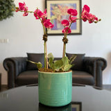 Pink Orchid Arrangement in Turquoise Pot