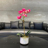 Pink Orchid Arrangement