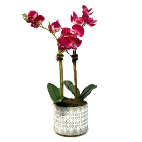 Pink Orchid Arrangement