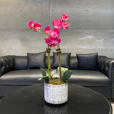 Pink Orchid Arrangement