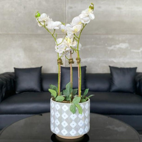 White Orchid Arrangement