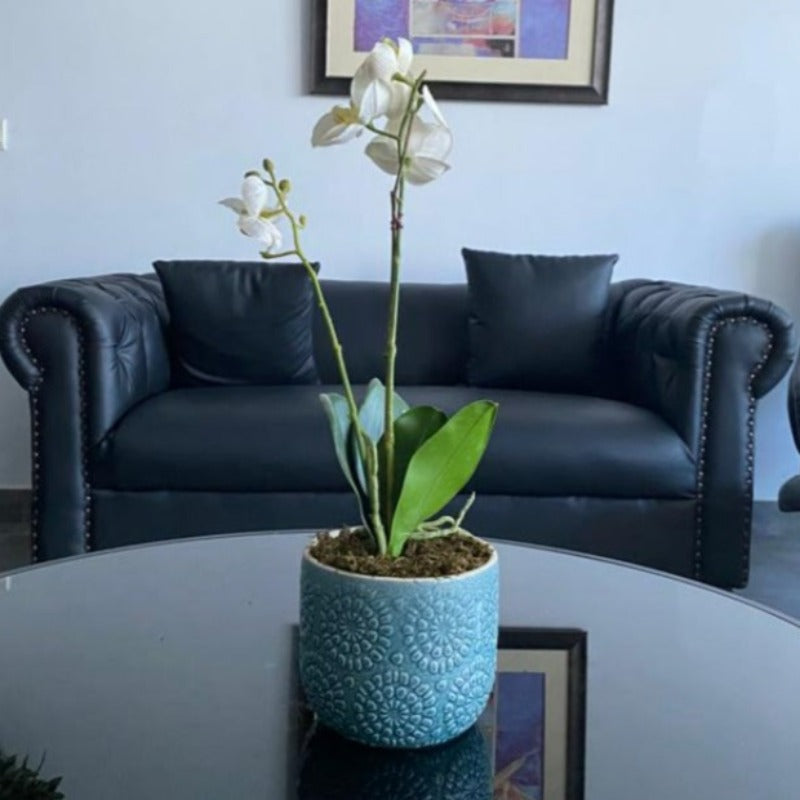 White Orchid Arrangement