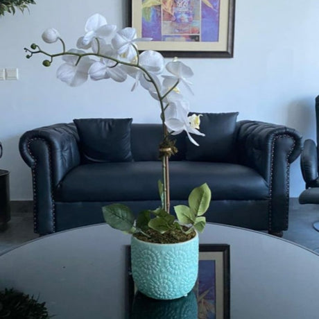 White Orchid Arrangement