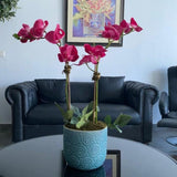 Pink Orchid Arrangement