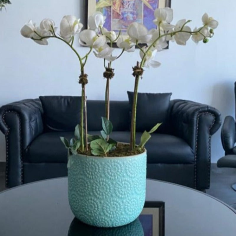 White Orchid Arrangement