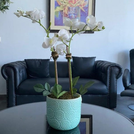 White Orchid Arrangement