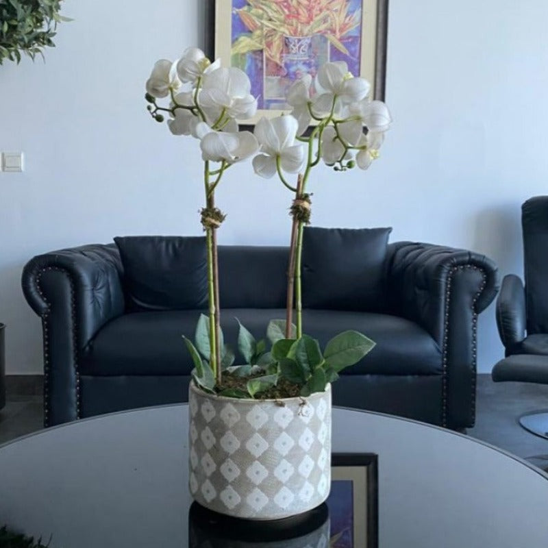 White Orchid Arrangement