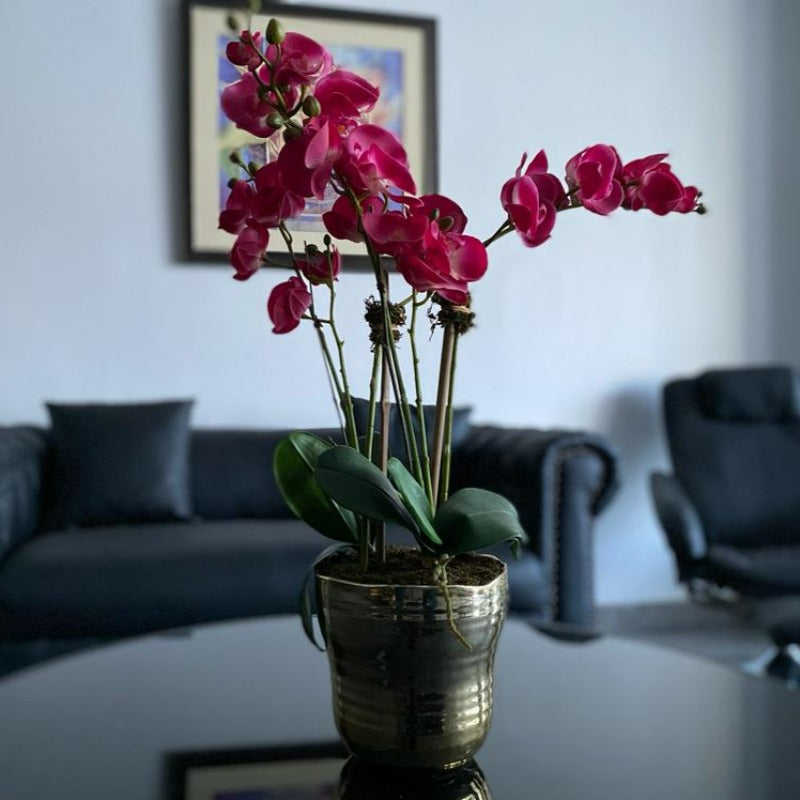 Pink Orchid Arrangement in Gold Vase