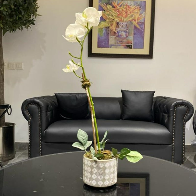 White Orchid Arrangement