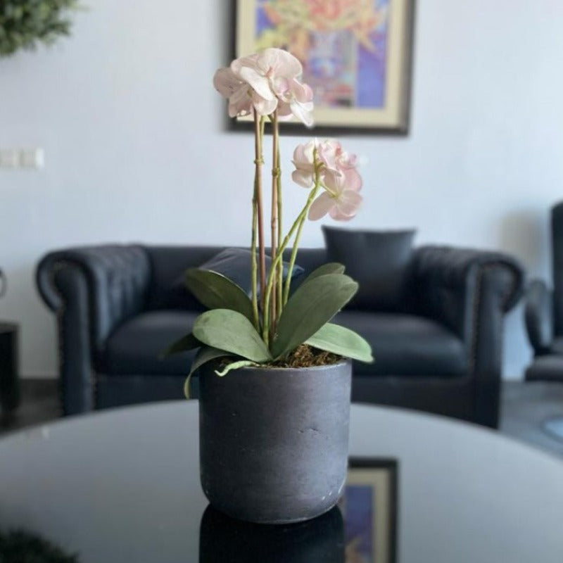 Faux Orchid Arrangement in Cement Pot