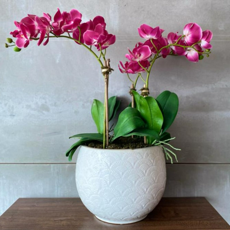 Pink Orchid Arrangement In White Ceramic Vase