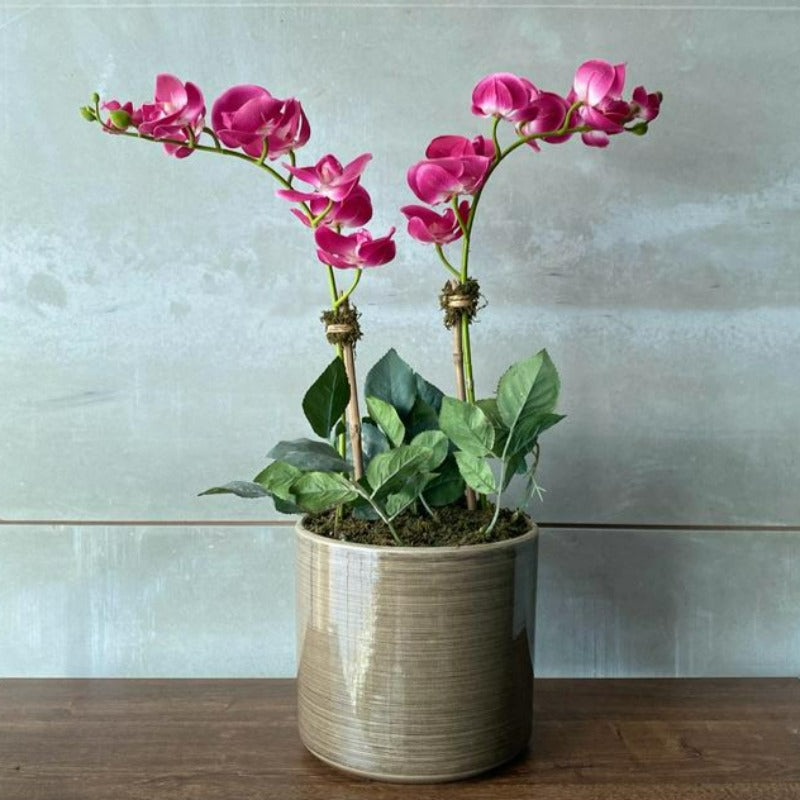 Pink Orchid Arrangement