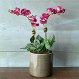 Pink Orchid Arrangement