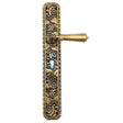 Salice Paolo Brass Main Door Handle AB