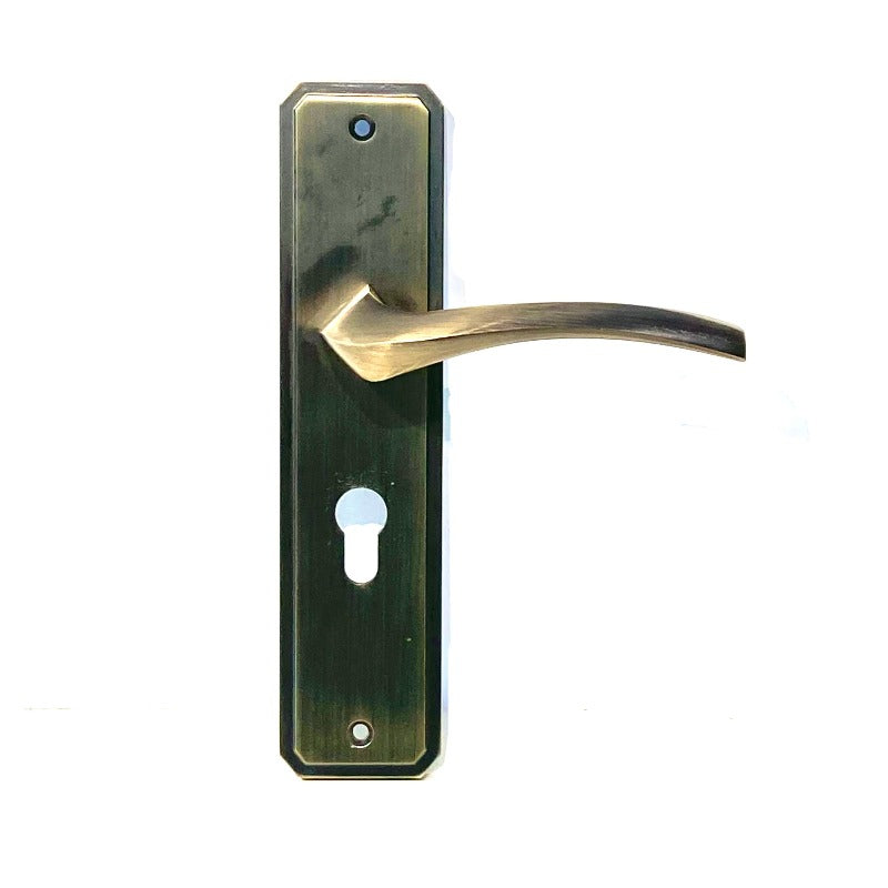 Door Handle with Lock & Cylinder