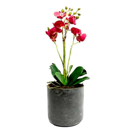 Faux Orchid Arrangement in Cement Pot