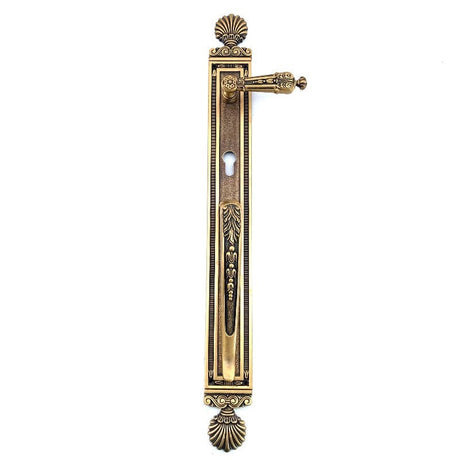 Salice Paolo Brass Main Door Handle AB