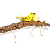 Hanging Bird Hooks