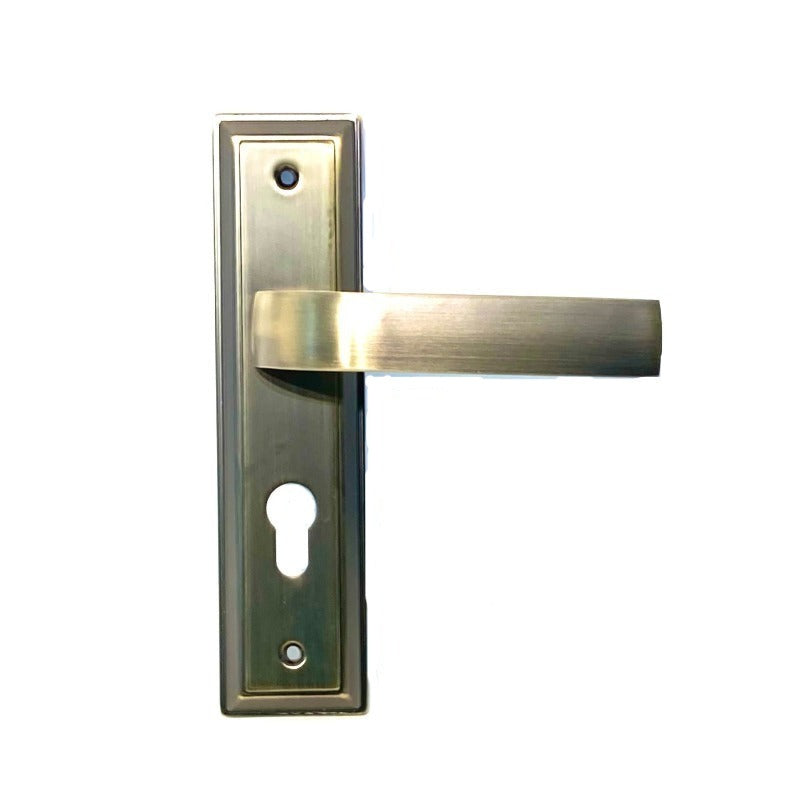 Door Handle with Lock & Cylinder