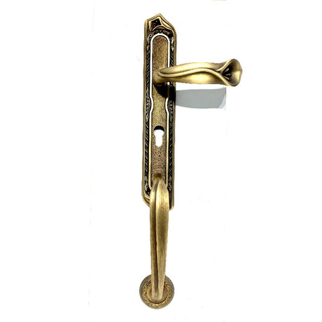 Main Door Handle AB