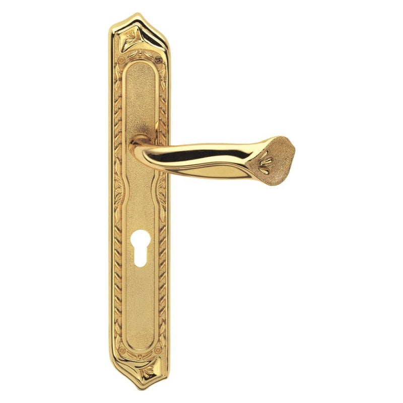 Gold Plated Door Handle