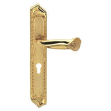 Gold Plated Door Handle