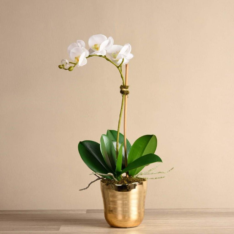 Artificial Orchid Arrangement