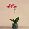 Artificial Orchid Arrangement